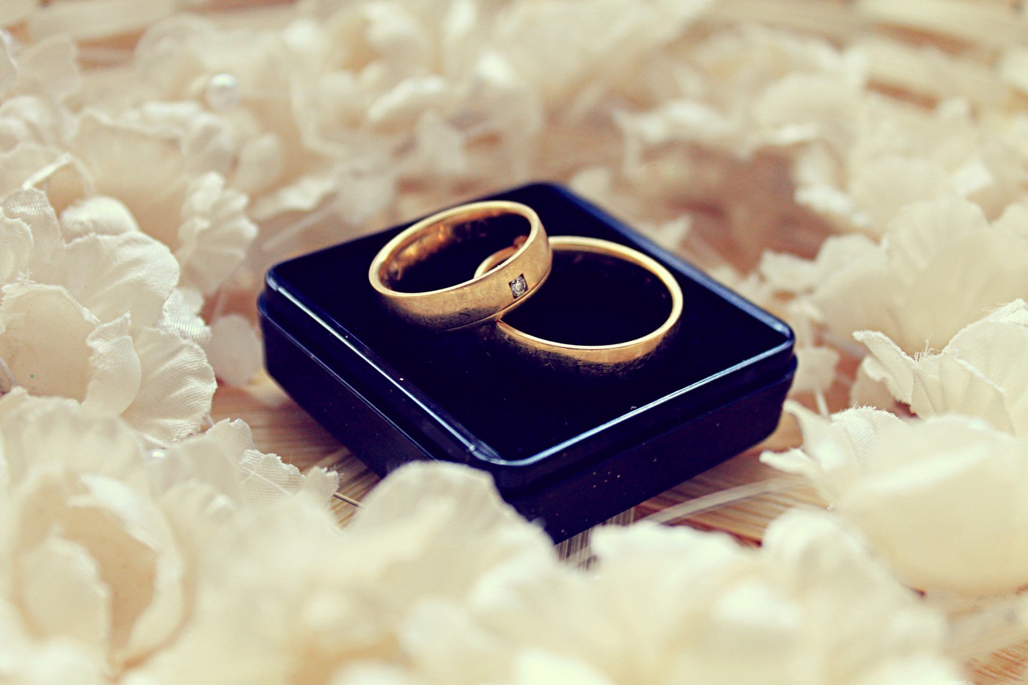 Undangan Pernikahan The Wedding Of Yohan & Novi