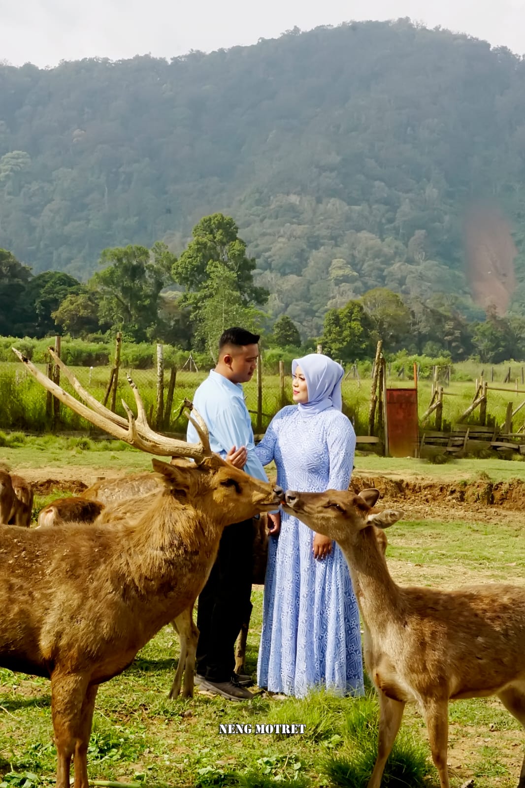 Undangan Pernikahan The Wedding of Ganjar and Septi